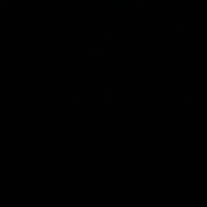 Meet your Posher, Jake